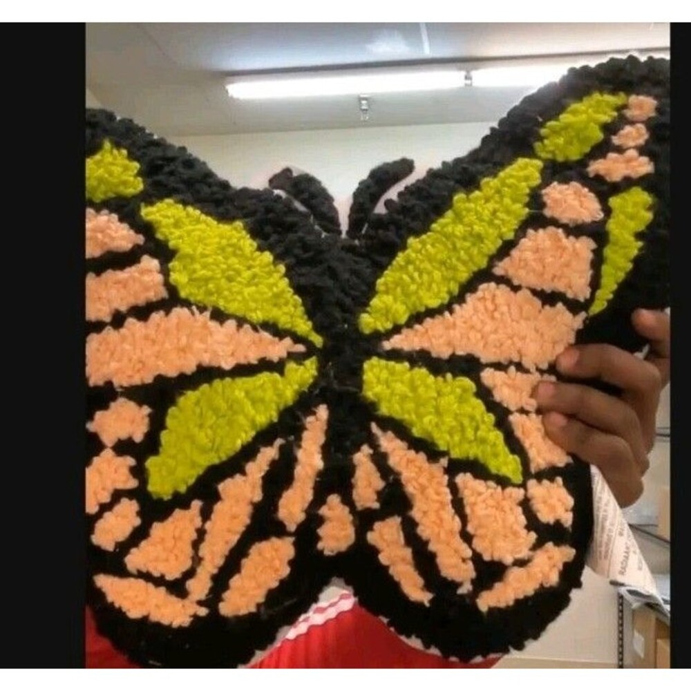 Decorative Butterfly Pillow Pink And Green Teen